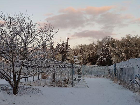 t_20260209_071457868tp.jpg t_20260209_071457868tp.jpg