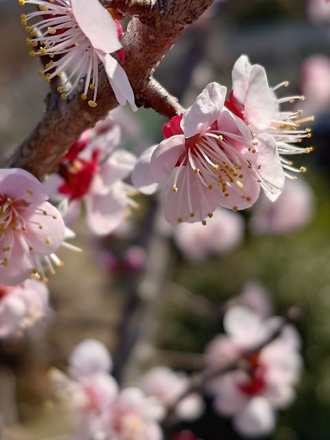 t_20260301_112544852tp.jpg t_20260301_112544852tp.jpg